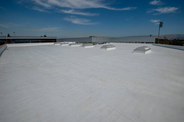 Best Hot Roofs  in Stanton, MI