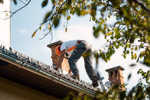 Best Storm Damage Roof Repair  in Stanton, MI