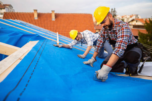 Professional Roofing in Stanton, MI